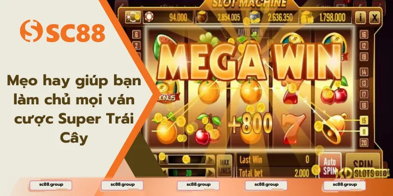 Mẹo hay giúp bạn làm chủ mọi ván cược Super Trái Cây